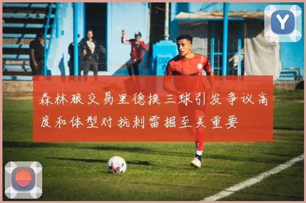 森林狼交易里德换三球引发争议高度和体型对抗刺雷掘至关重要
