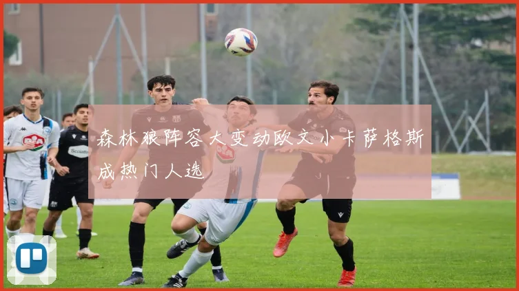 森林狼阵容大变动欧文小卡萨格斯成热门人选