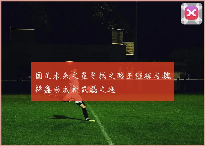 国足未来之星寻找之路王钰栋与魏祥鑫或成新武磊之选