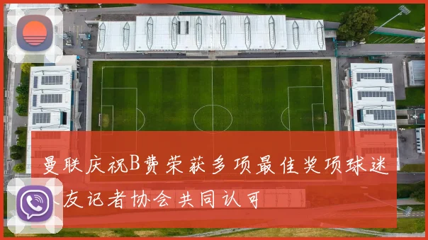 曼联庆祝B费荣获多项最佳奖项球迷队友记者协会共同认可
